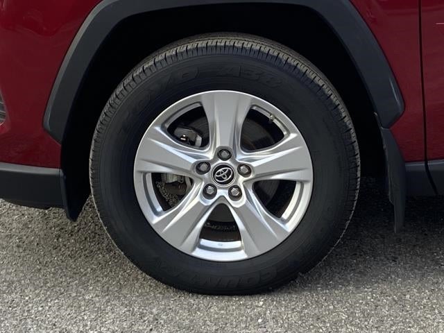 2019 Toyota RAV4 XLE AWD (Natl)