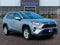 2019 Toyota RAV4 XLE AWD (Natl)