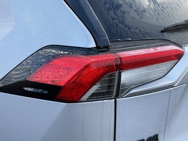 2019 Toyota RAV4 XLE AWD (Natl)