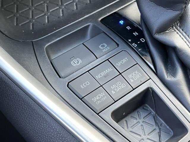 2019 Toyota RAV4 XLE AWD (Natl)