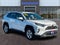 2019 Toyota RAV4 XLE AWD (Natl)