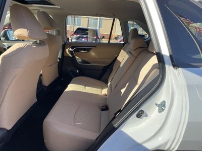 2019 Toyota RAV4 XLE AWD (Natl)