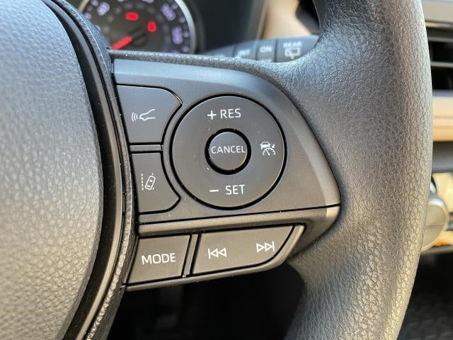 2019 Toyota RAV4 XLE AWD (Natl)