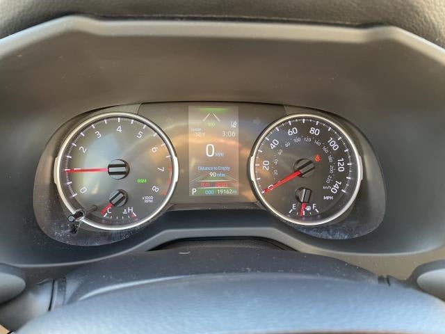 2019 Toyota RAV4 XLE AWD (Natl)