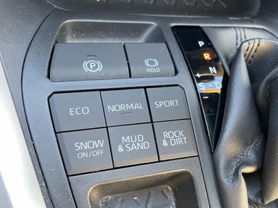 2019 Toyota RAV4 XLE AWD (Natl)