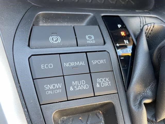 2019 Toyota RAV4 XLE AWD (Natl)