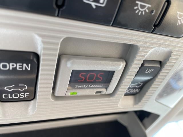 2019 Toyota RAV4 XLE AWD (Natl)