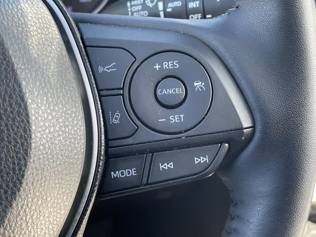 2019 Toyota RAV4 XLE AWD (Natl)