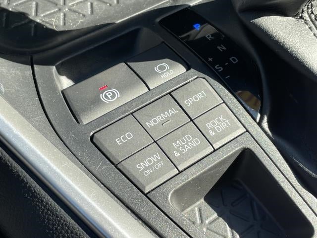 2019 Toyota RAV4 XLE AWD (Natl)