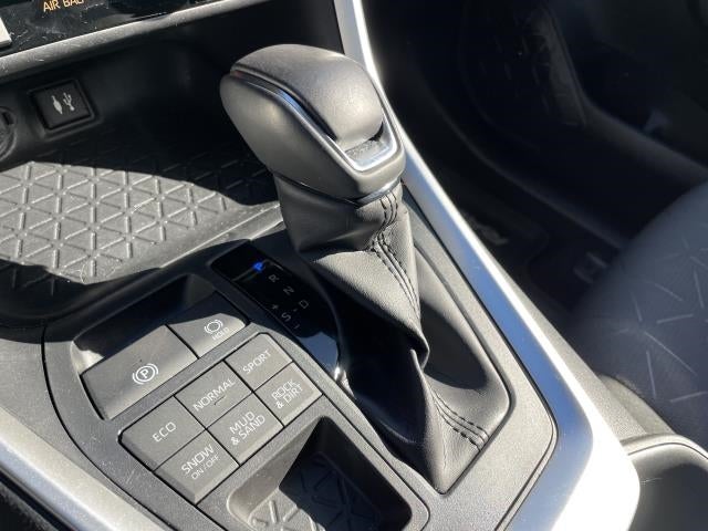 2019 Toyota RAV4 XLE AWD (Natl)