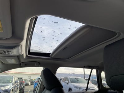 2019 Toyota RAV4 XLE AWD (Natl)