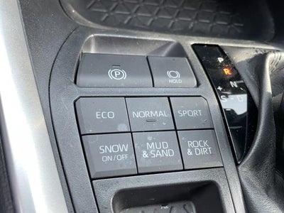 2019 Toyota RAV4 XLE AWD (Natl)