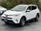 2018 Toyota RAV4 XLE AWD (Natl)